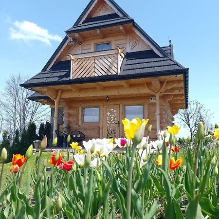 Domek Na Goralska Mode 苏凯 外观 照片