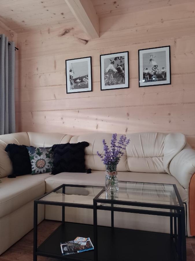 Domek Na Goralska Mode 苏凯 外观 照片